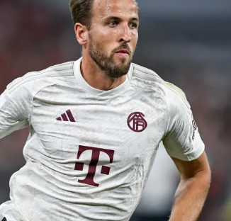 仅在体育界 仅在体育界