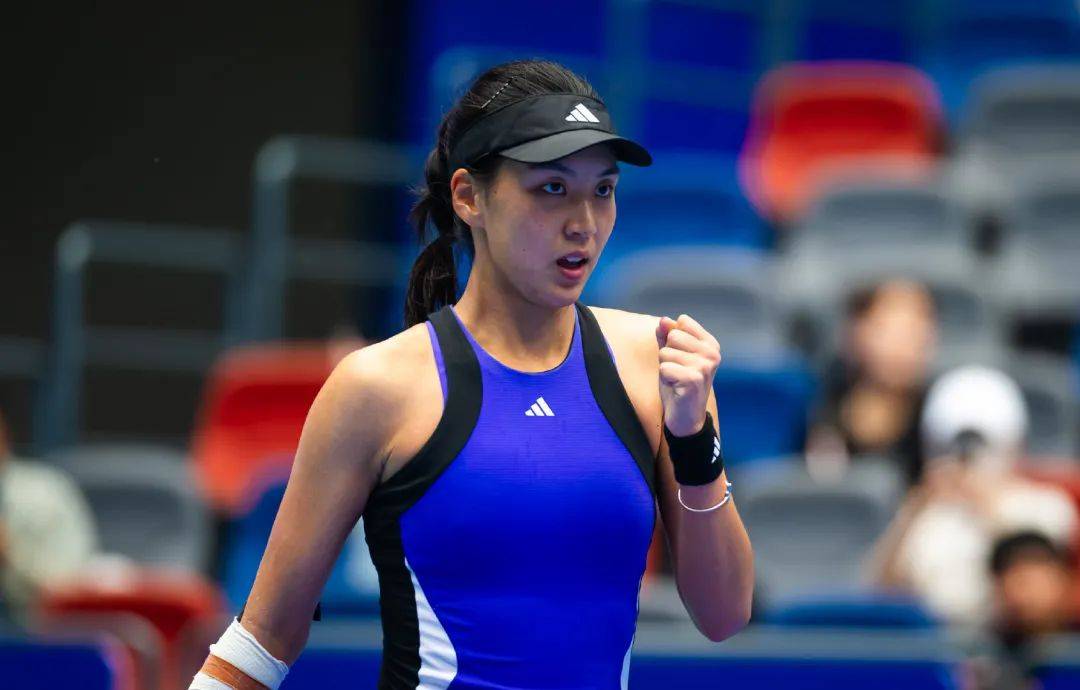 全面升级的 全面升级的