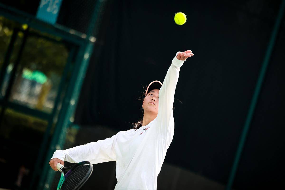 双管齐下的 双管齐下的