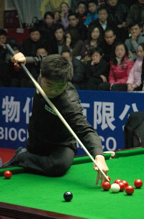 奥地利的格 奥地利的格